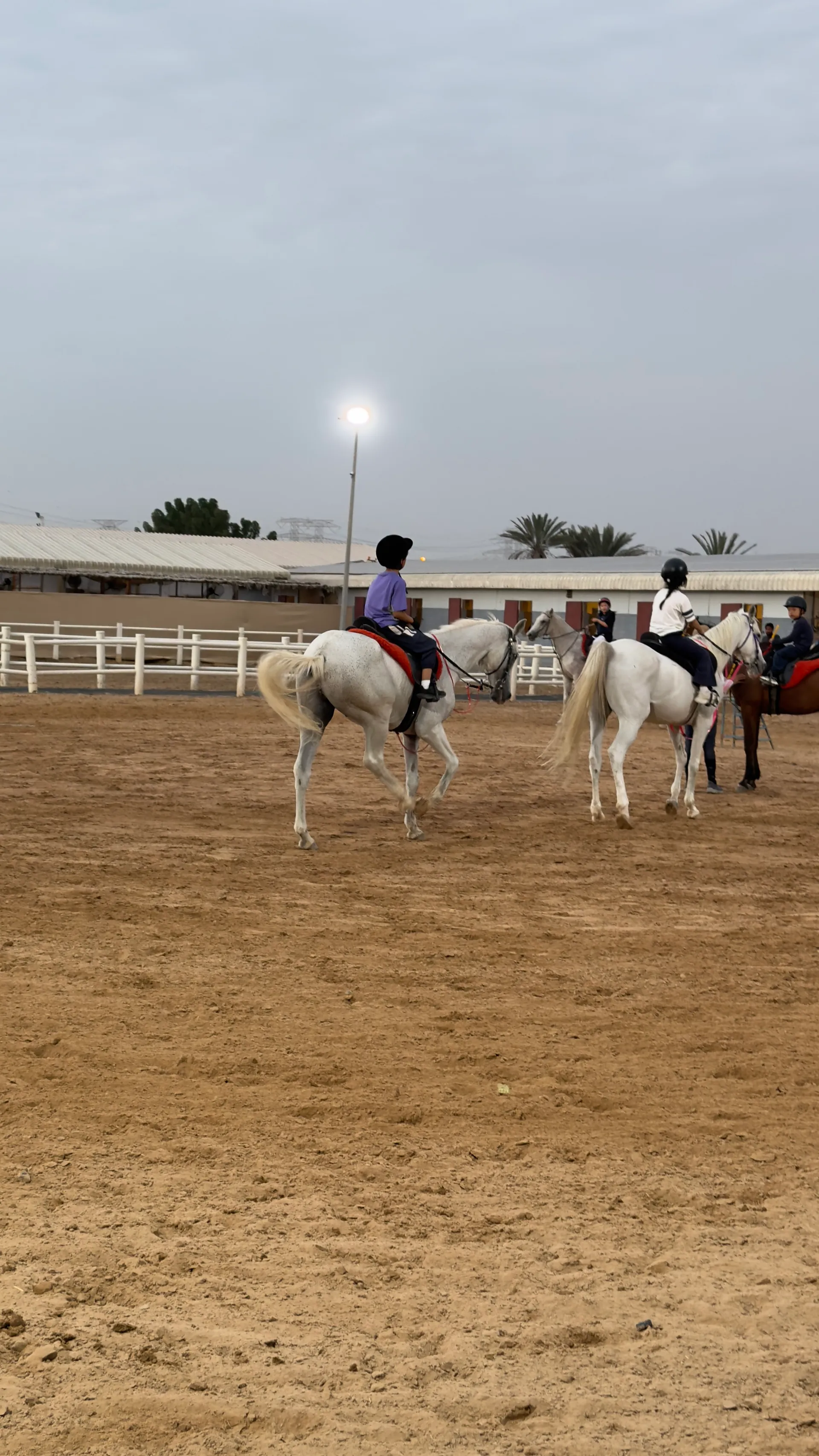 Arena Riding Lesson