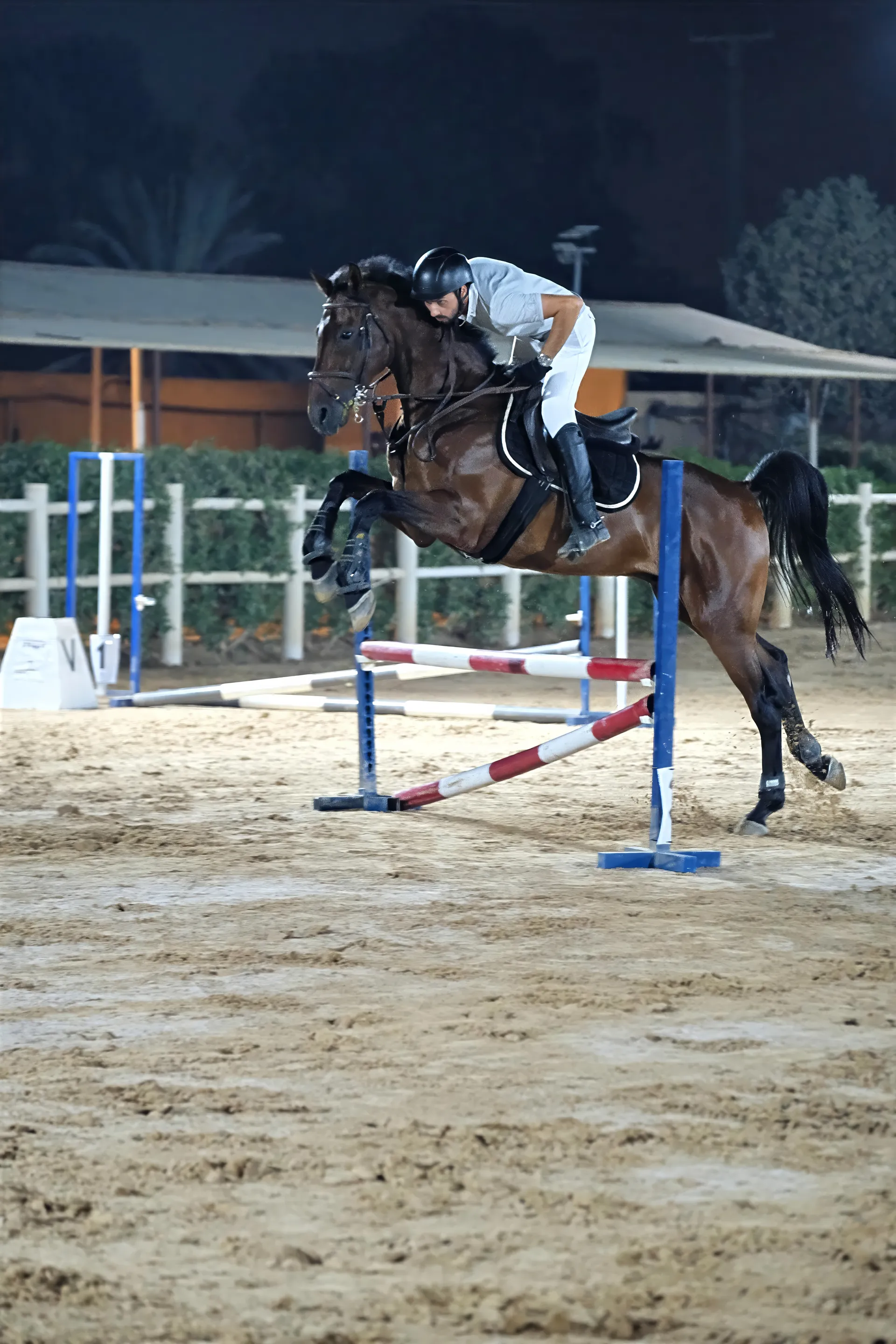 Arena riding lesson