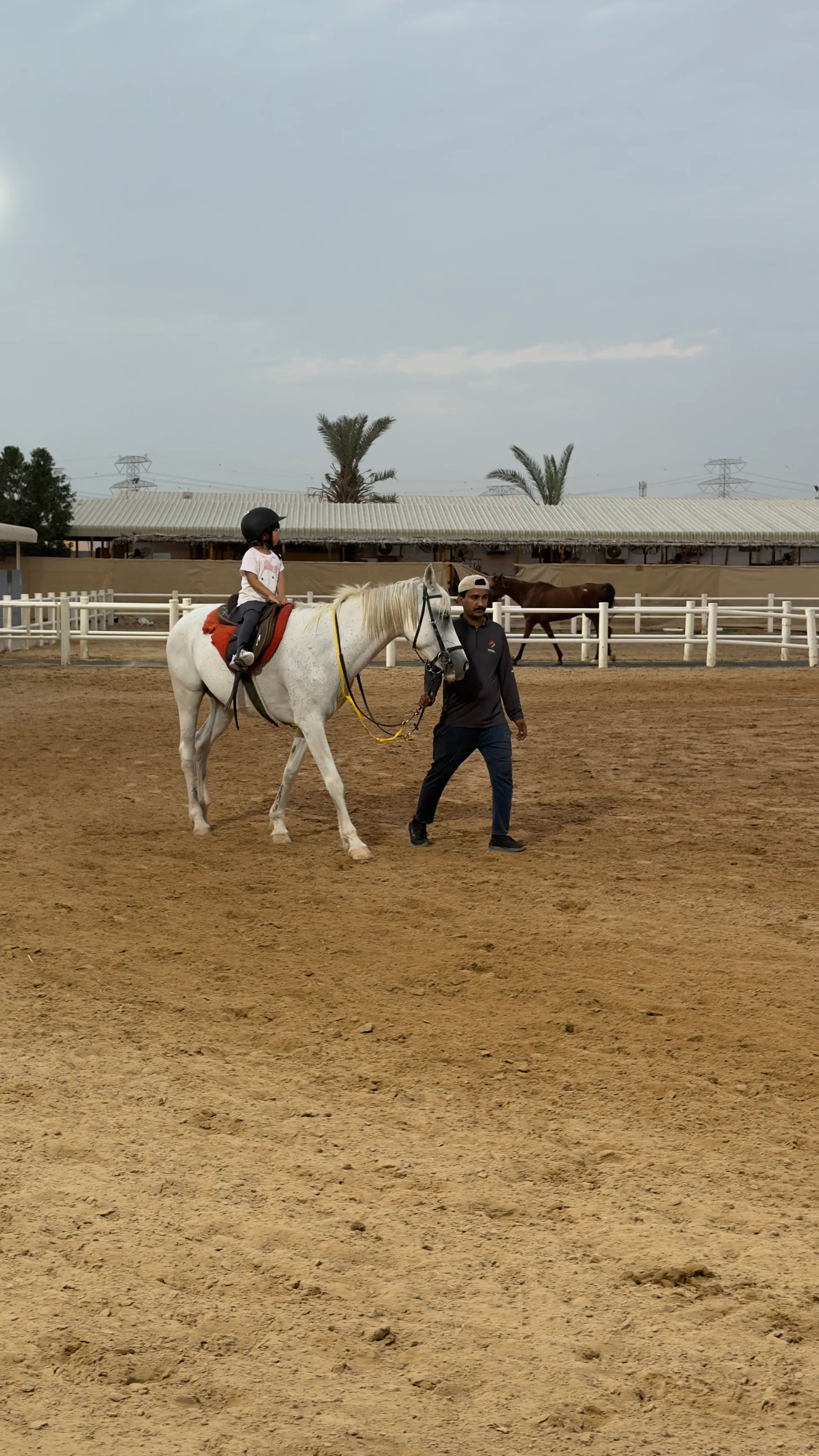 Rider in the arena