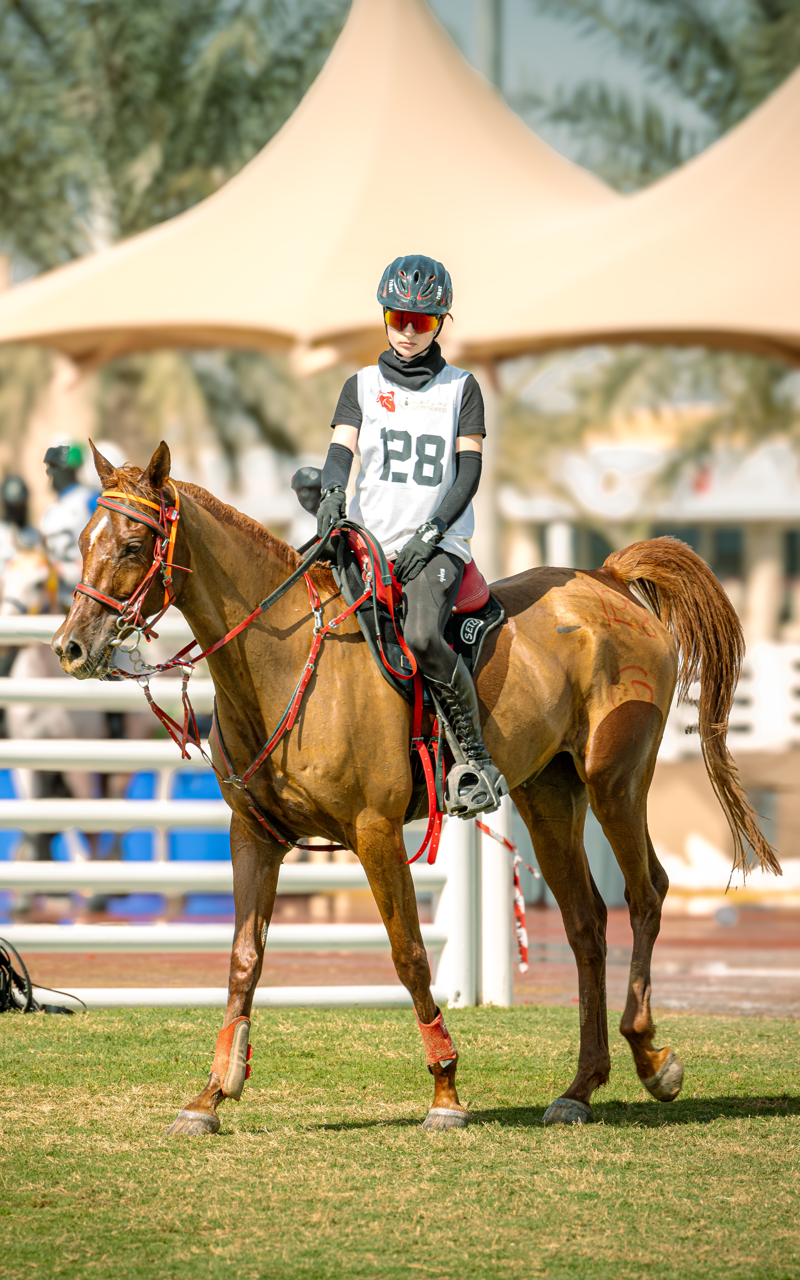 Endurance horse and rider at competition venue