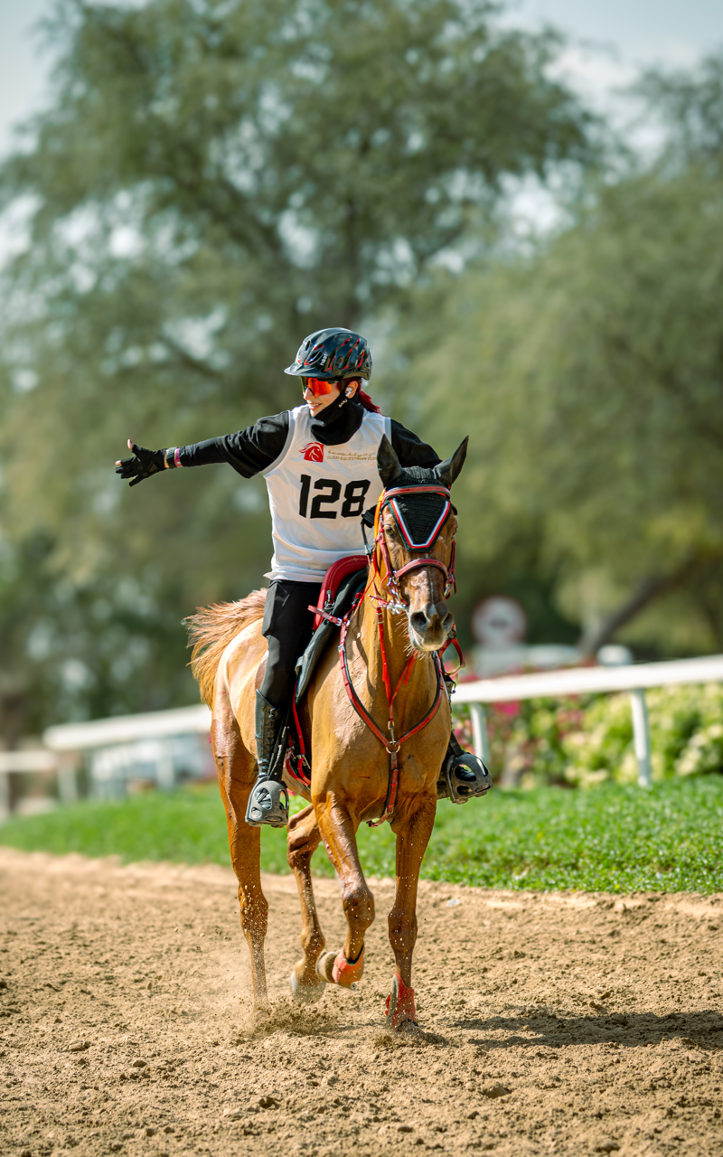 Endurance rider galloping on sand track