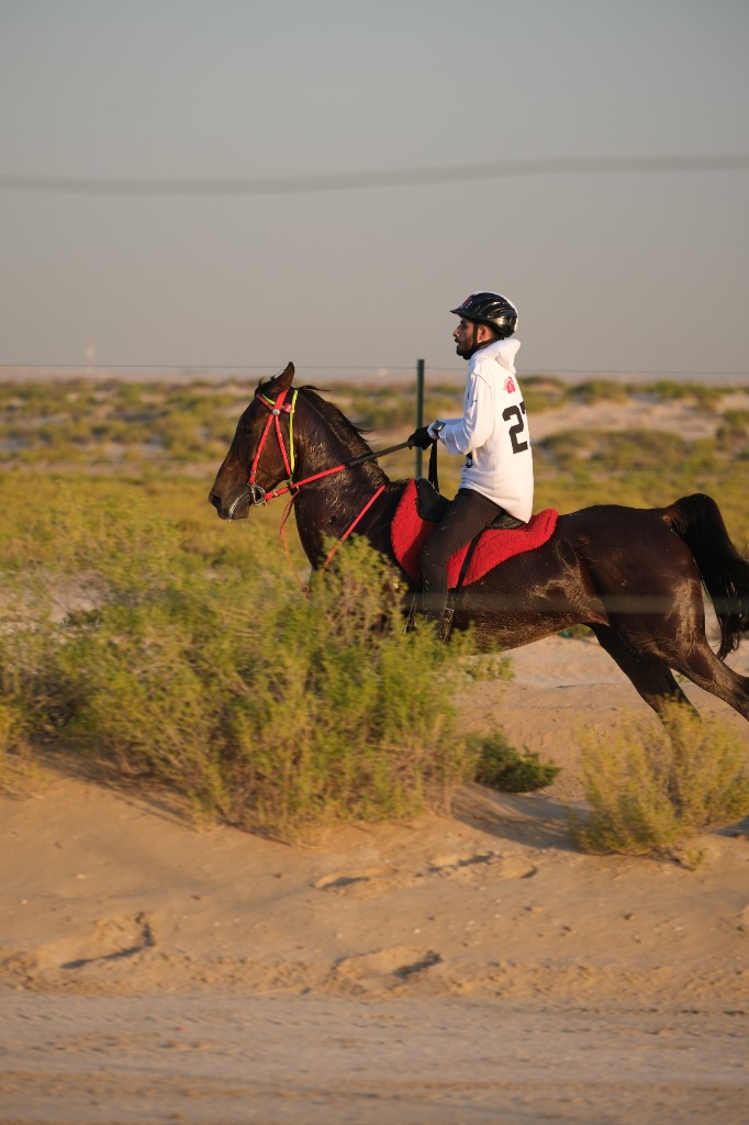 Rider and horse in the desert