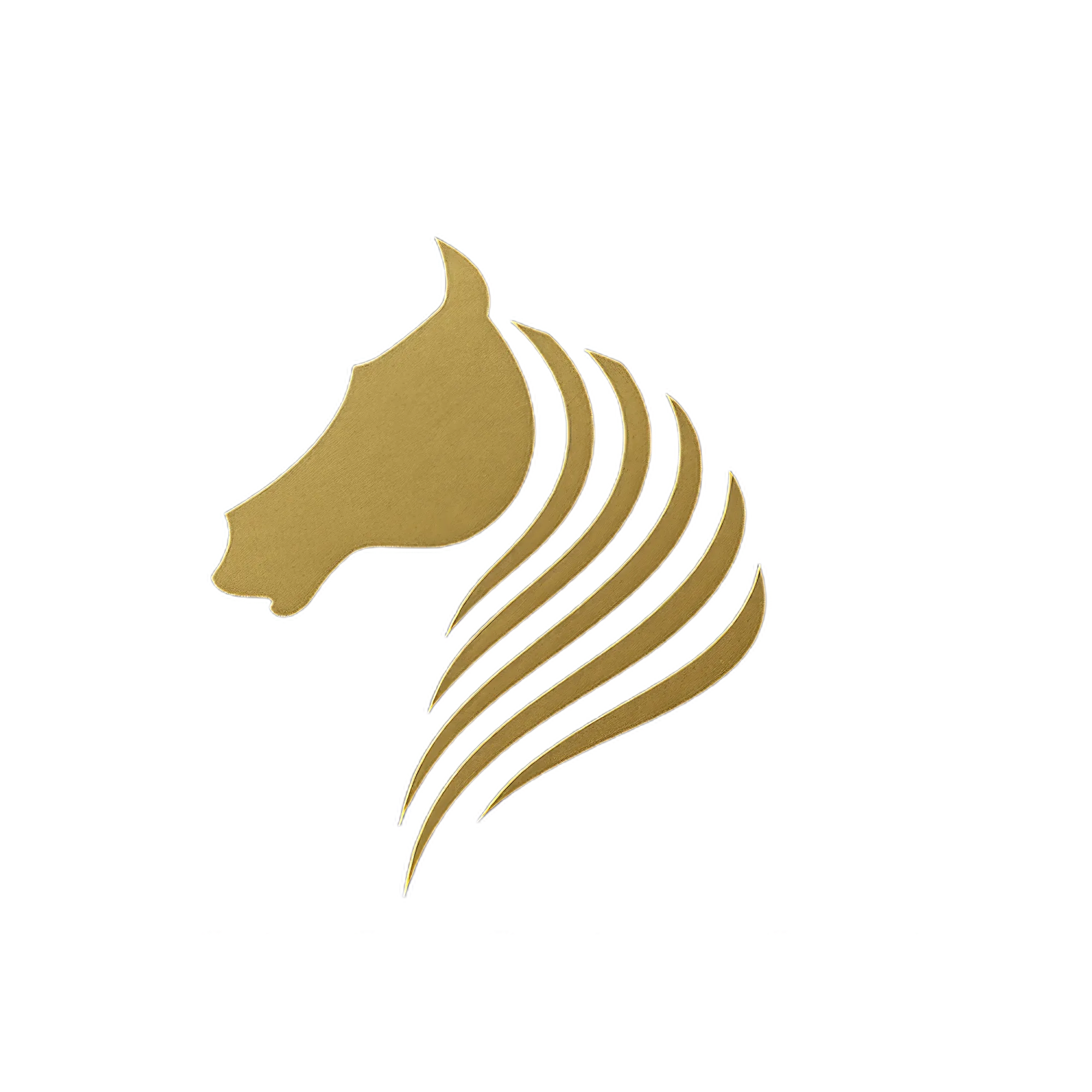 JSR Equestrian Club logo