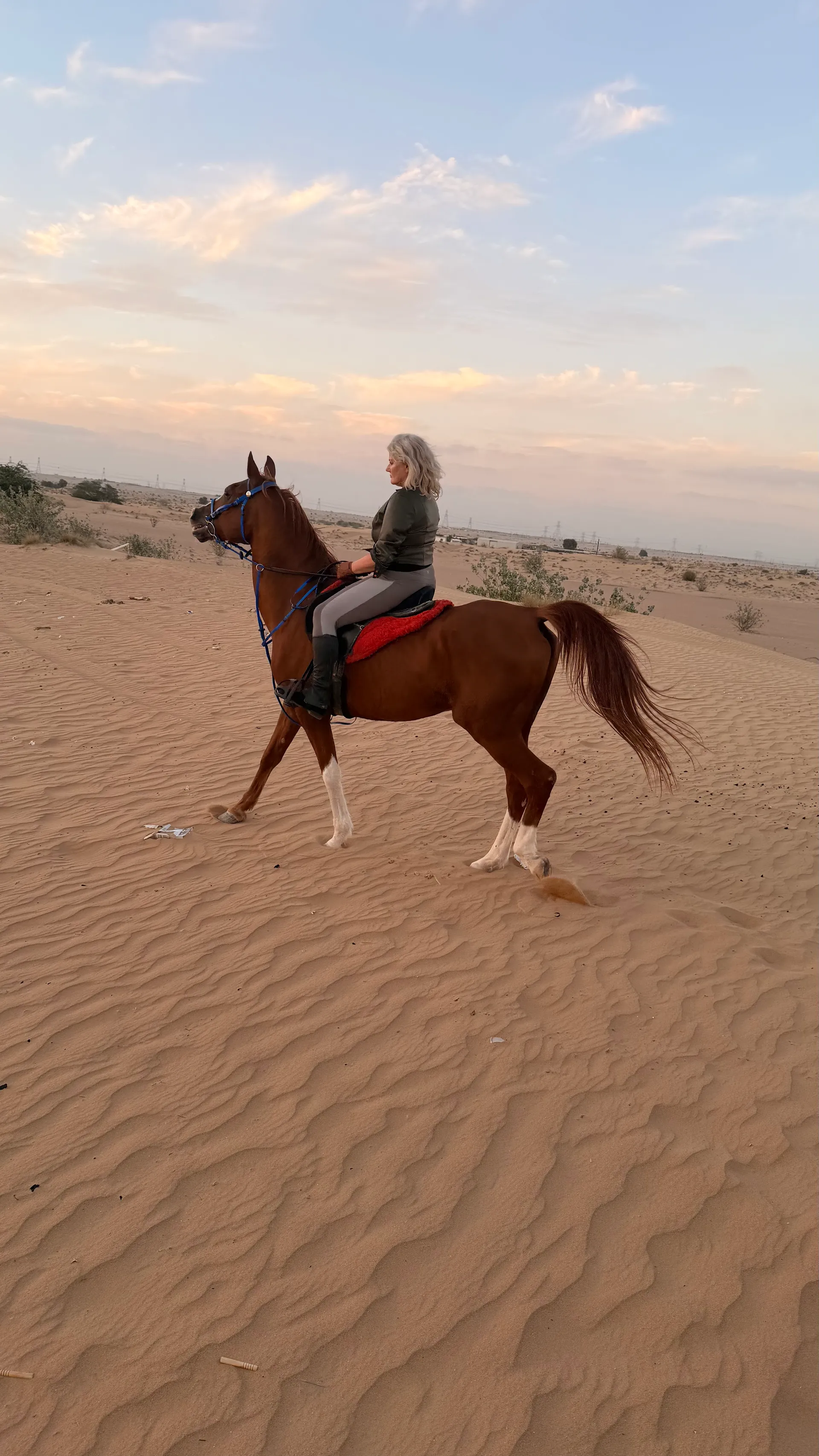 Desert Access