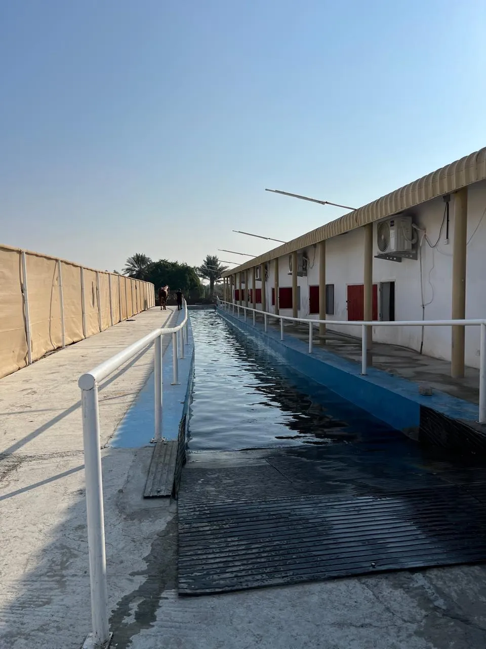 Equine Hydrotherapy Pool